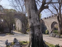 -朴园