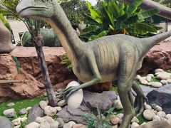 -陕西自然博物馆