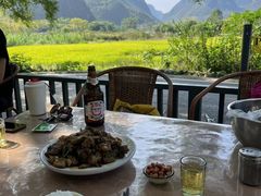 -遇龙河大樟树农家乐