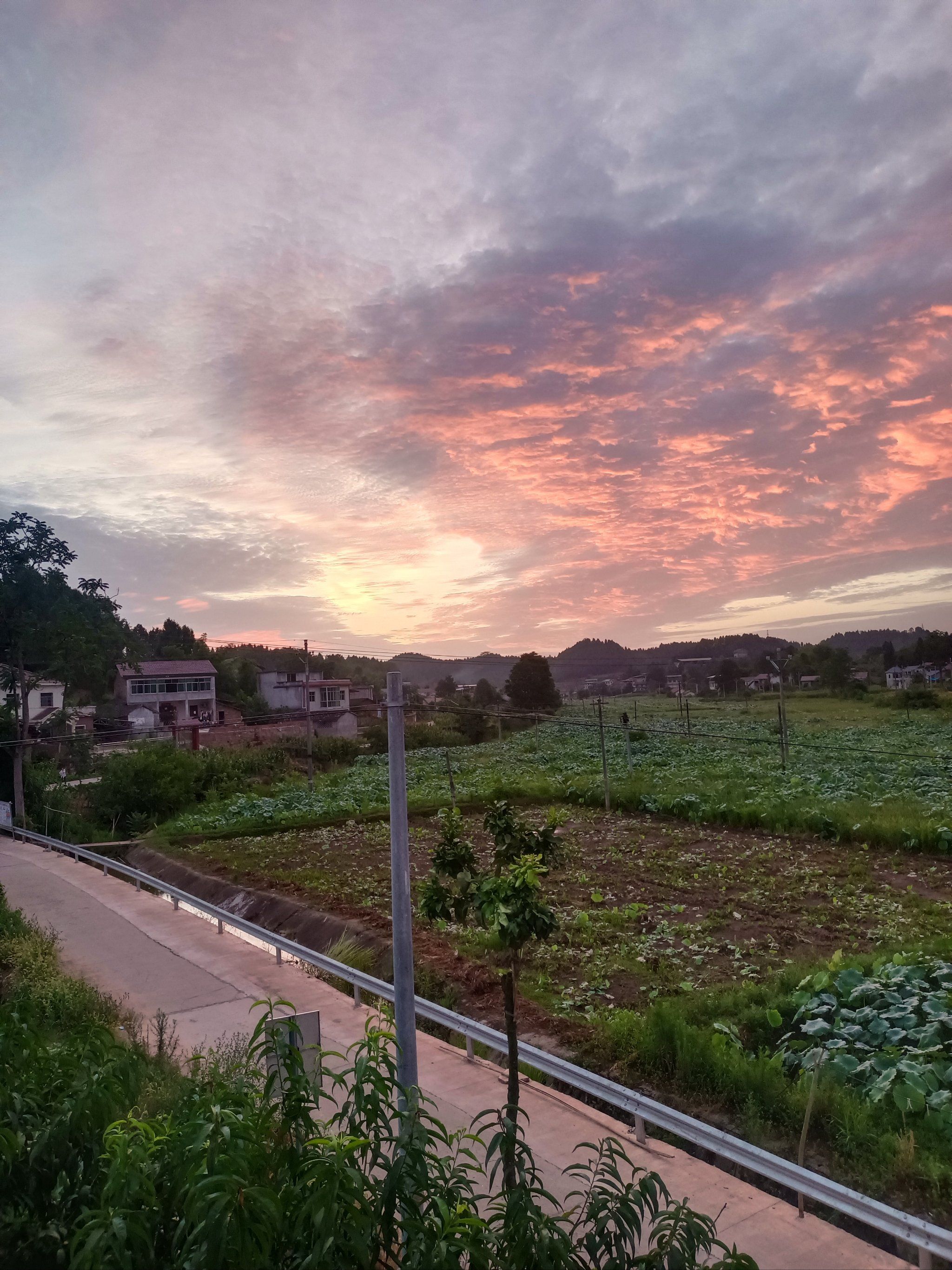美丽乡村