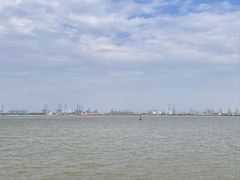 -大湾区中央湿地公园