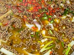 -麻小度青花椒鱼(安德总店)