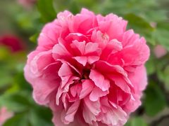 -江南大学(蠡湖校区)