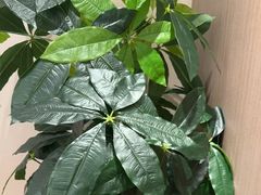 -七味·用心做好鱼(花桥店)