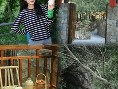 -宁波五龙潭景区