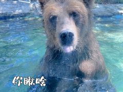 -广州长隆野生动物世界