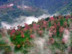 -无量山自然风景保护区