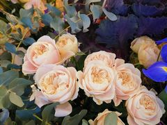 -FLOVIE FLORIST CAFE