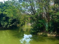 -人民公园(罗湖区)