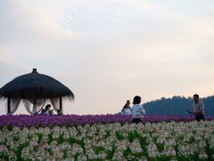 -径山花海