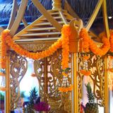 夏天太热，宜来泰妃殿避暑