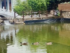 -荷塘味道(水长城店)