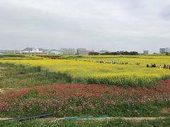 -光明小镇欢乐田园