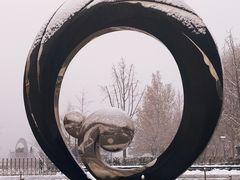 -大兴滨河森林公园