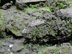 -海口火山口国家地质公园