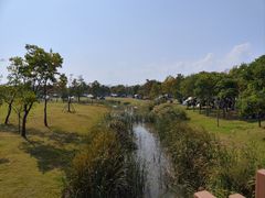 -上海滨江森林公园