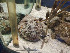 -太平洋海底世界