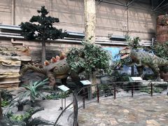 -国家自然博物馆