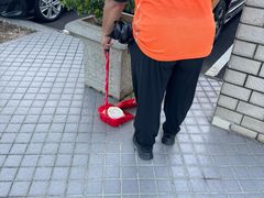 -澳门东亚运动会体育馆