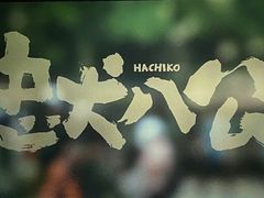 -CGV星星影城(颐堤港ScreenX店)