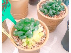 -金陵花卉交易市场