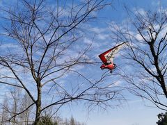 -金谷域澳洲庄园