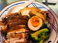 -陈鹏鹏潮汕菜(宝安机场T3航站楼店)