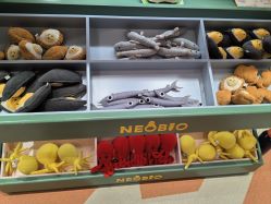 -奈尔宝家庭中心·亲子餐厅(鄞州万达店)