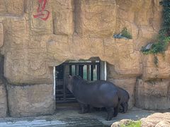 -沈阳森林动物园
