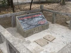 -上海佘山国家森林公园天马山园