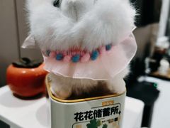 -风云再起游乐汇(南京常发广场店)