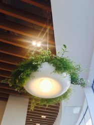 -悦诗风吟innisfree