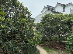 -东山风景区(洞庭东山)