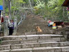 -天台山赤城山景区