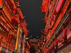 -上海野生动物园