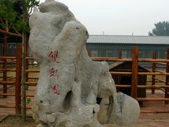 -双新观光采摘园