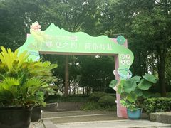 -陈家山荷花公园