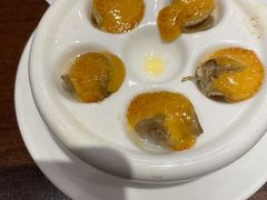 芝士焗蜗牛-黑松白鹿(新活馆店)