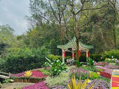 -广州市白云山风景名胜区