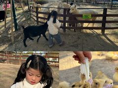 -盈香心动乐园