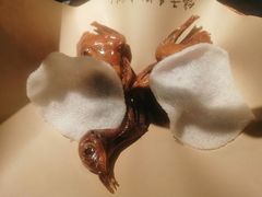 -鸽子侯·家宴·平价海鲜(市图书馆店)