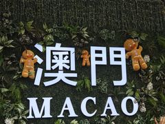 -澳门威尼斯人综合度假区