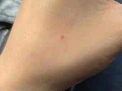 -上海市第十四机动车安全检测站