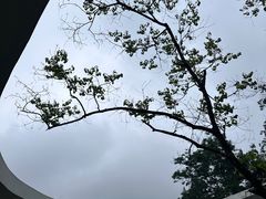 -中国丝绸博物馆