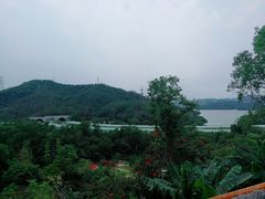-深圳仙湖植物园-停车场