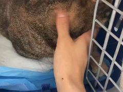 -拜鲁耶动物诊疗中心·宠家动物医院