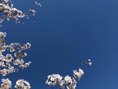 -丰台花园
