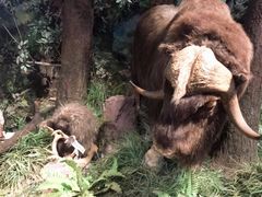 -陕西自然博物馆