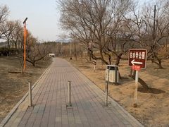 -白水寺森林公园
