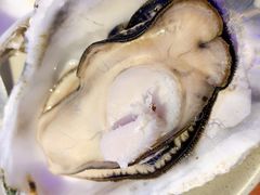 -千岛蚝高压锅生蚝·人参火锅(白云万达店)